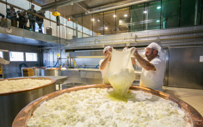 Zillertaler Heumilch Sennerei